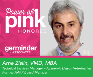 Arne Zislin Power of PInk